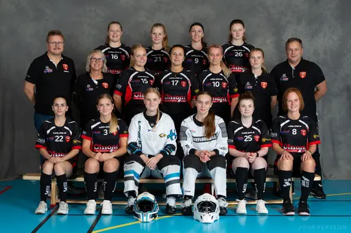 Lagbilder säsongen 20/21