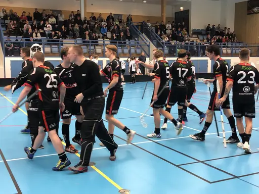 Minnesvärd Eaglesdag 2020