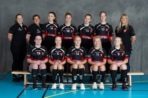 Lagbilder säsongen 20/21