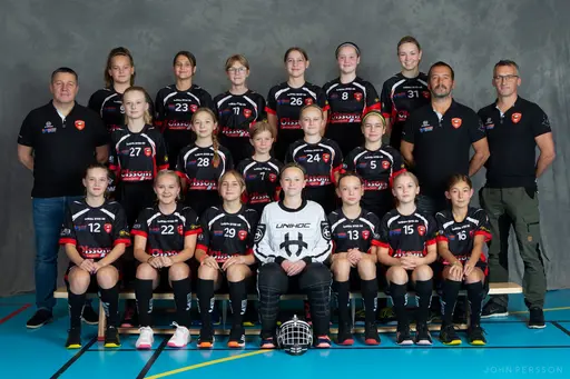 Lagbilder säsongen 20/21