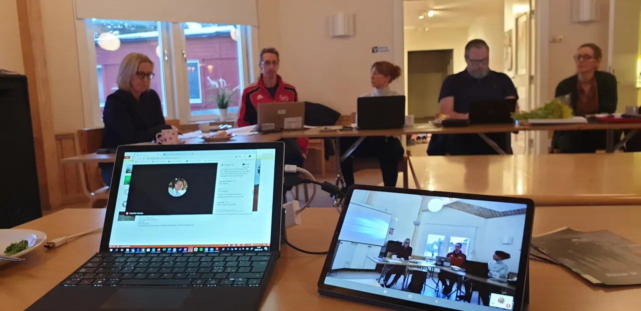 Mer än 30 deltagare på årsmötet varav 11 digitalt via Google Meet