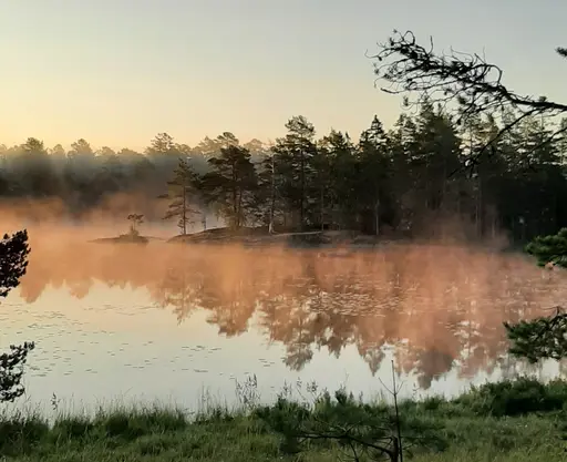 Vissa kvällar är det lättare att sova ute...