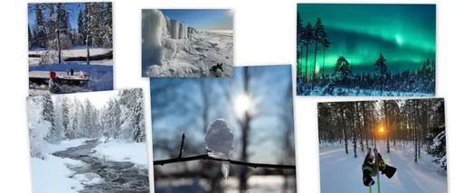 Vilka fotografer! Fler bilder än någonsin inskickade
