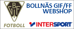 Webshop Intersport