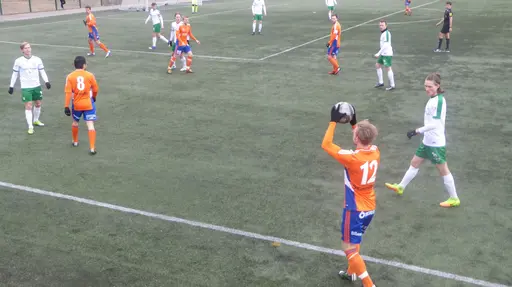 Foto: Joel Sundström