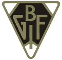 Bollnäs GIF Fotbollsförening