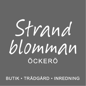STRANDBLOMMAN