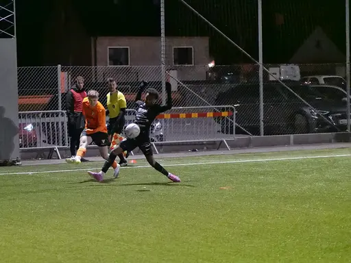 Foto: Mikael Caleres