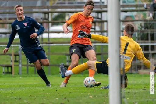 Foto: Göran Lenz
