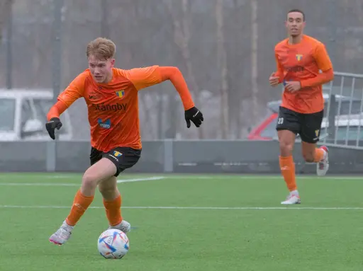 Foto: Mikael Caleres