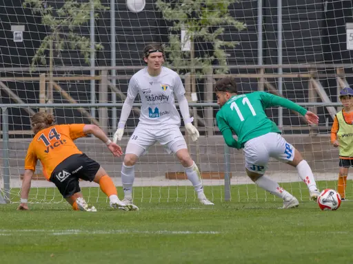 Foto: Mikael Caleres
