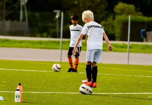 Foto: Stig Johansson (@stj7005) och Magnus Asperot