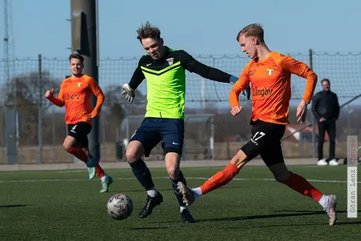 Foto: Göran Lenz