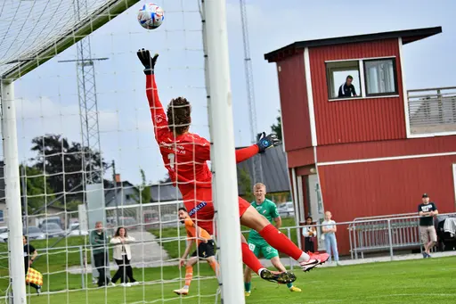 Foto: Stefan Robèrt