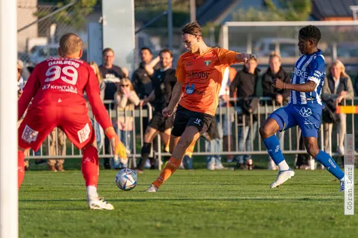 Foto: Göran Lenz