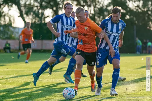 Foto: Göran Lenz