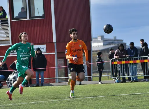 Foto: Stefan Robèrt