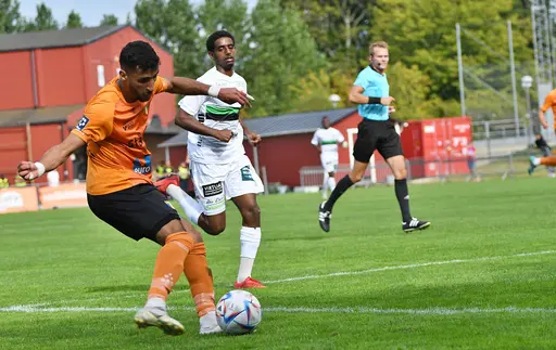 Foto: Stefan Robèrt