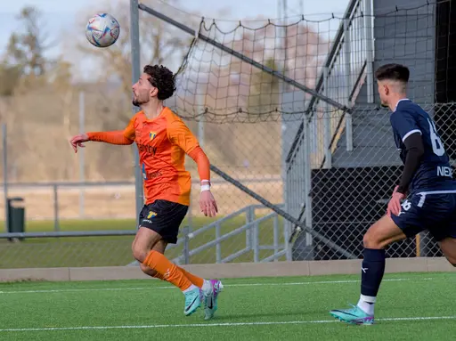 Foto: Mikael Caleres