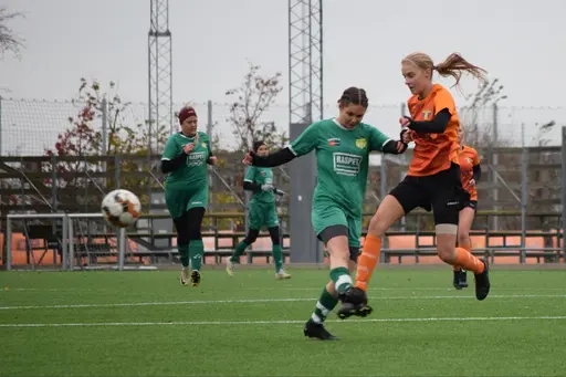 Foto: Jacob Härdelin