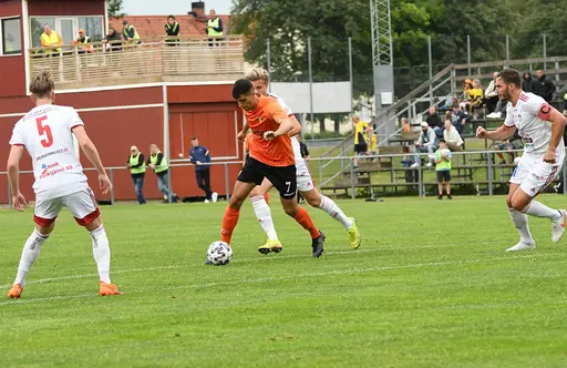 Foto: Stefan Robèrt