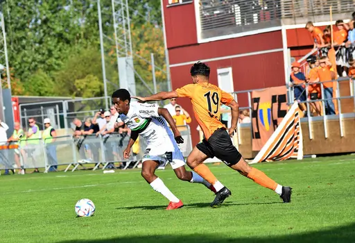 Foto: Stefan Robèrt