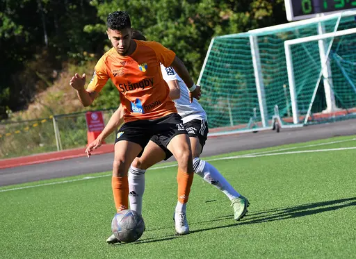 Foto: Stefan Robèrt