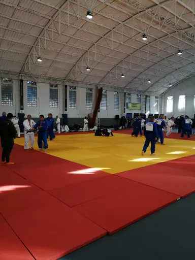 Uppvärmningsmattan, passagen där alla tävlande går igenom för att bli checkade och slussade till rätt tävlingsmatta. Samt någon snubbe som representerade Sverige men framför allt Nacka Judo!