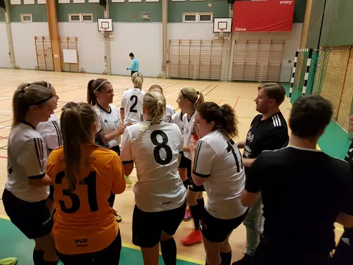 Hyvelcupen 2019