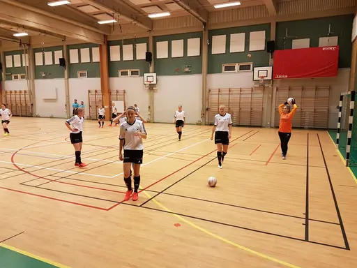 Hyvelcupen 2019