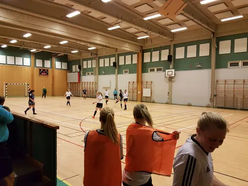 Hyvelcupen 2019