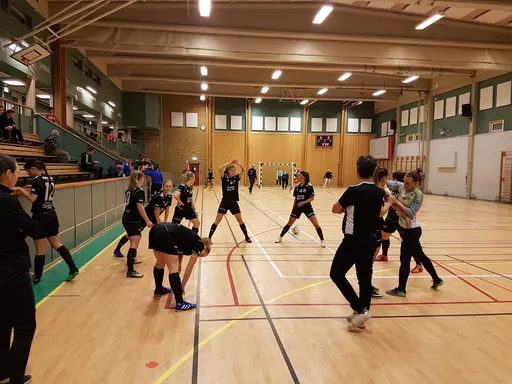 Hyvelcupen 2019