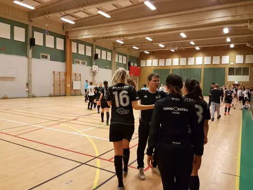 Hyvelcupen 2019