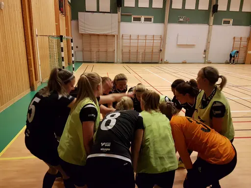 Hyvelcupen 2019