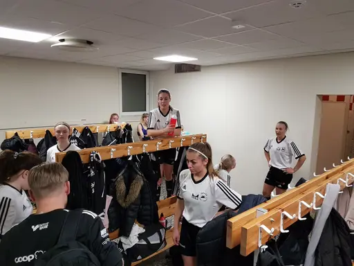 Hyvelcupen 2019