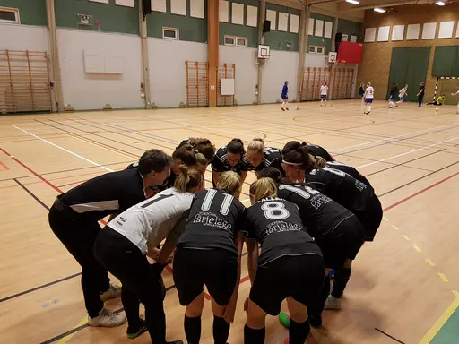 Hyvelcupen 2019