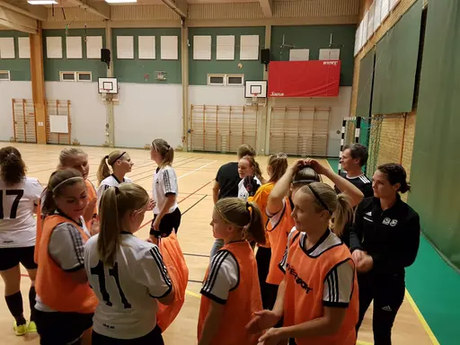 Hyvelcupen 2019