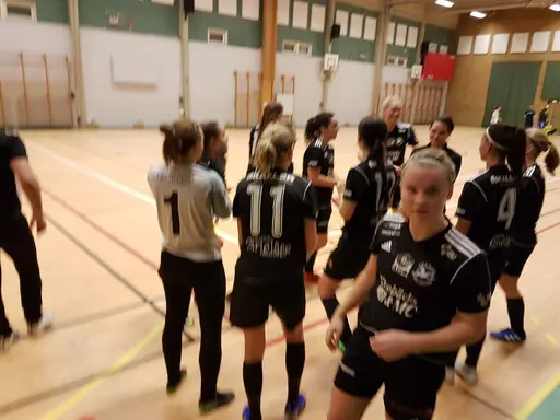 Hyvelcupen 2019