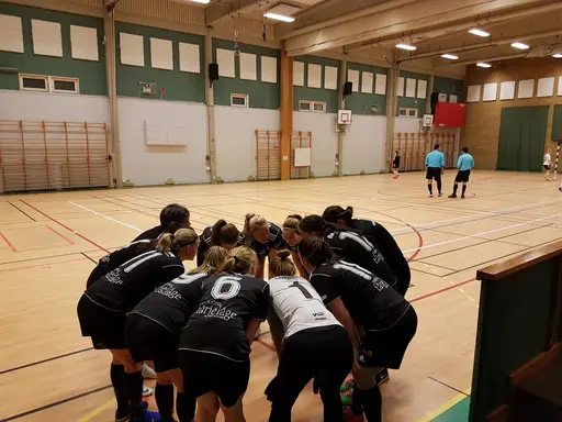 Hyvelcupen 2019