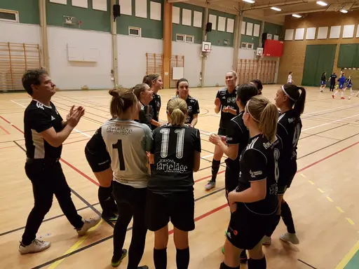 Hyvelcupen 2019