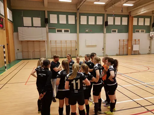 Hyvelcupen 2019