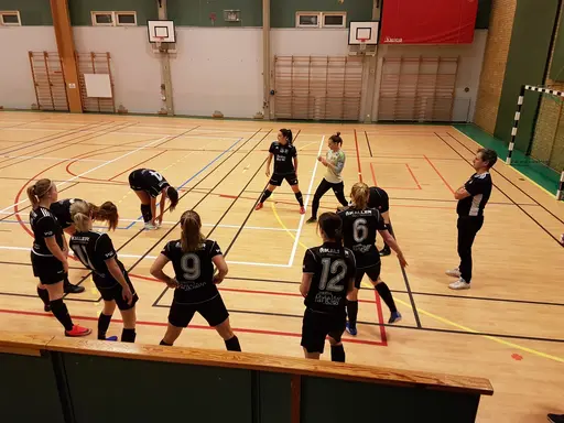 Hyvelcupen 2019