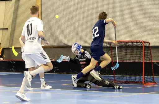 Foto: sthlminnebandy