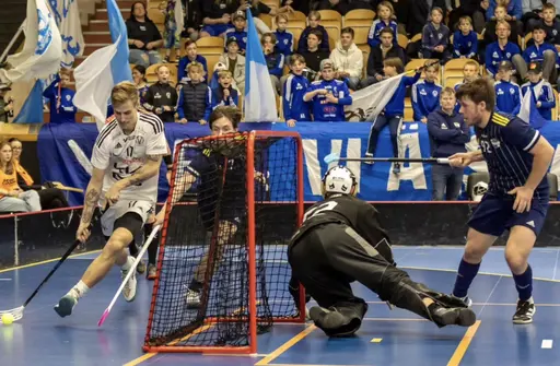 Foto: sthlminnebandy