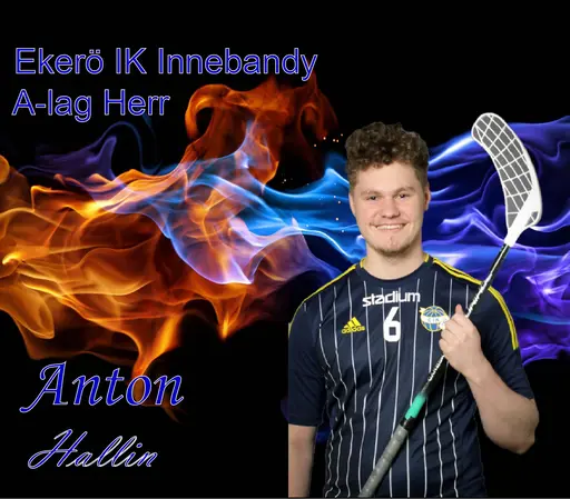 Anton Hallin, Selma Lönn, Jesper Knutsson