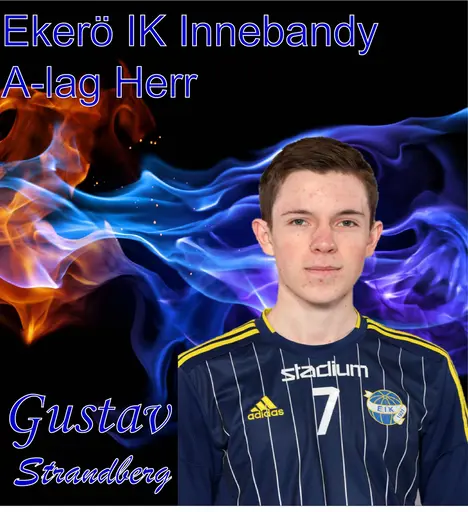 Gustav Strandberg, Julia Eibladh, Jesper Lindblom