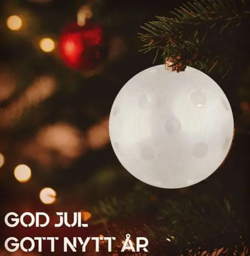 Bild från Svenska innebandyförbundet