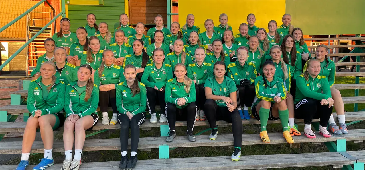 De flesta av spelarna som spelat div2, div3, div4