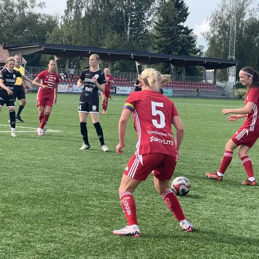 F19 fick med sig en poäng efter söndagens möte mot Alingsås.