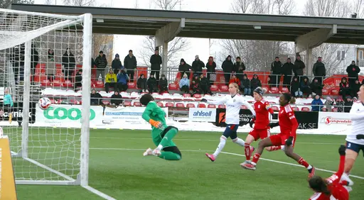Bildtexter nedan